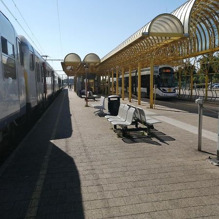Vakantie Aan Zee De Panne Exterior foto