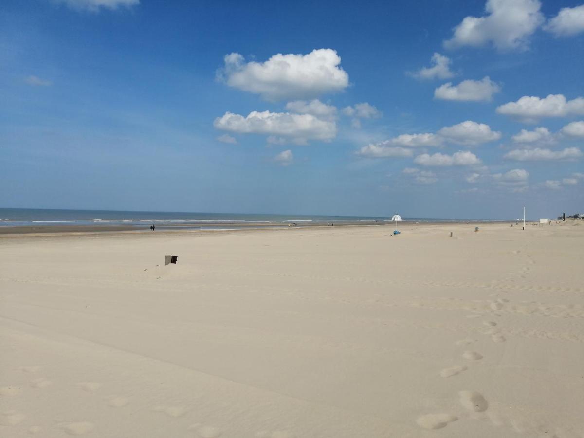 Vakantie Aan Zee De Panne Exterior foto